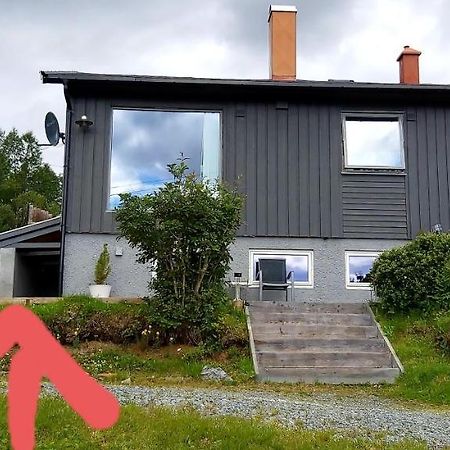 Aurora Rooms For Rent Nr1 We Are Doing Privet Northen Light Trip, Reindeer Trip And Sommaroy Fjord Trip Tromsø Exterior foto